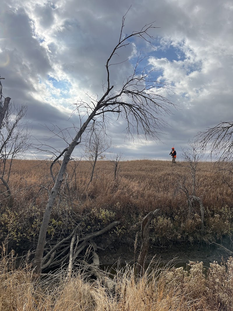 Medicine Creek Pheasant Ranch - Photo 1