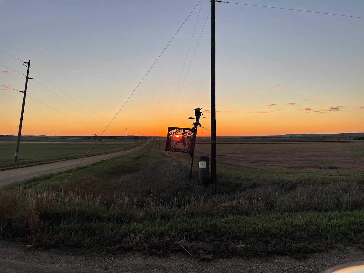 Medicine Creek Pheasant Ranch