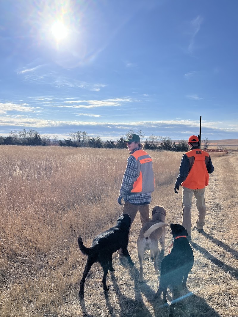 Medicine Creek Pheasant Ranch - Photo 5