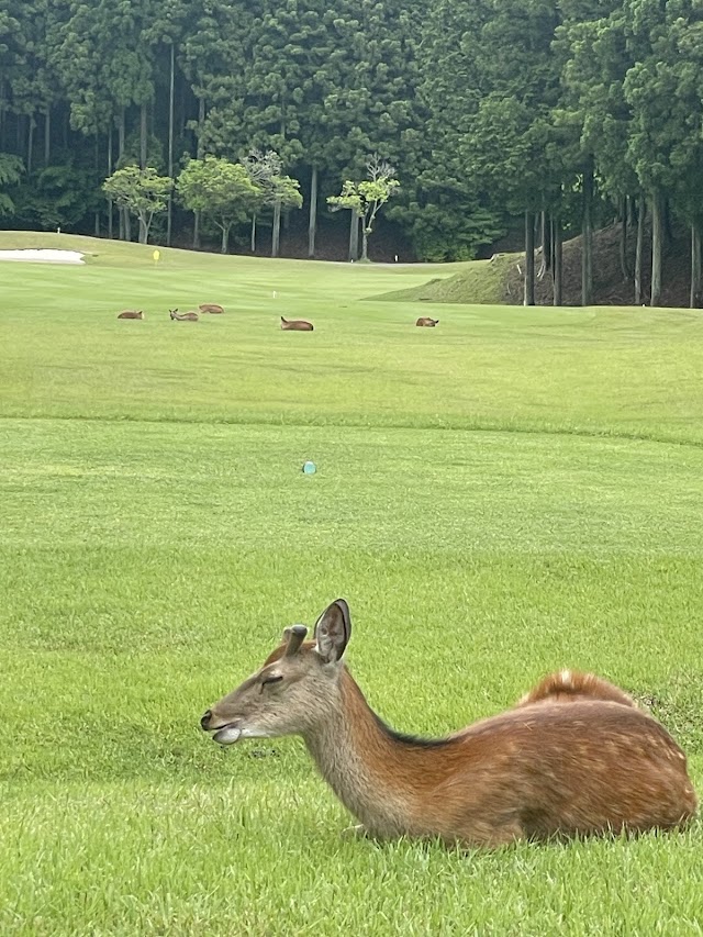 Tsukude Golf Club - Photo 4