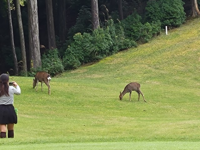 Tsukude Golf Club - Photo 8
