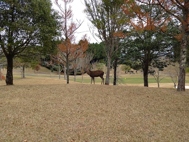 Tsukude Golf Club - Photo 10