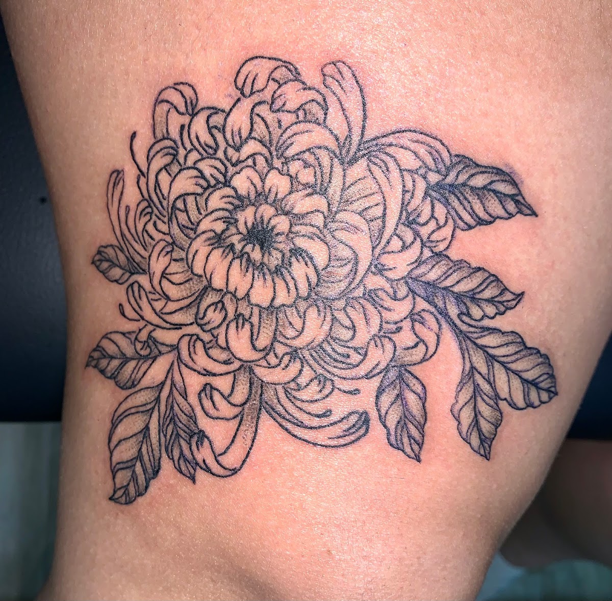Evergreen Inks tattoo parlor in Georgetown, TX