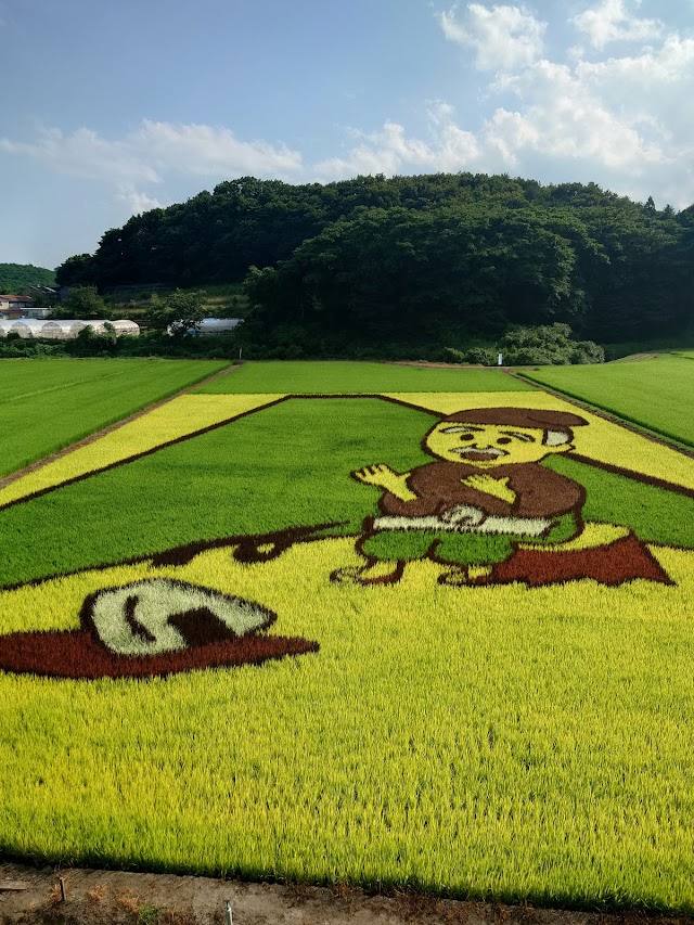 Rose Land Country Club - Photo 4