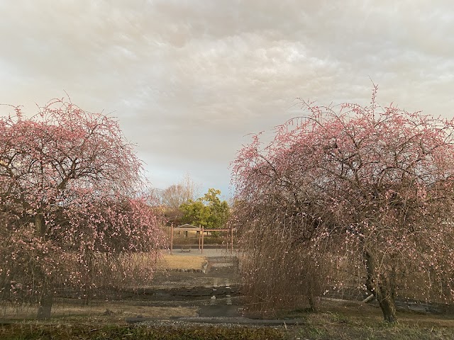 Itakura Golf Course - Photo 3