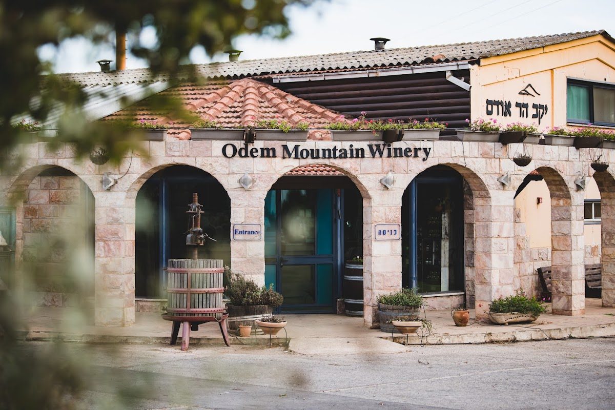 Har Odem Winery