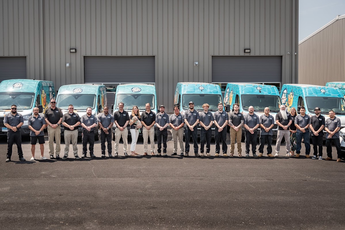 All Dry Services of Greater Boston West — photo