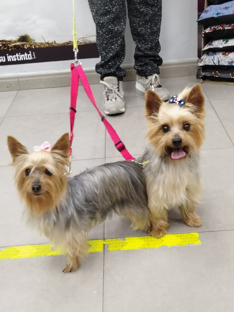 Mascovet Peluquería Canina Y Felina