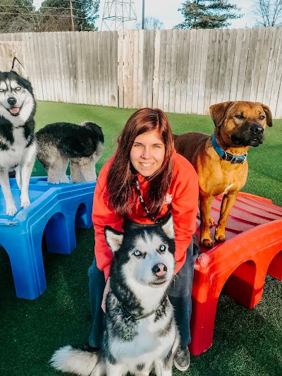 The Ark Pet Spa & Hotel - East Brainerd