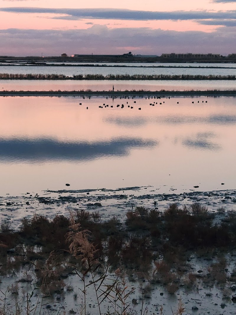 Shelter for birdwatching