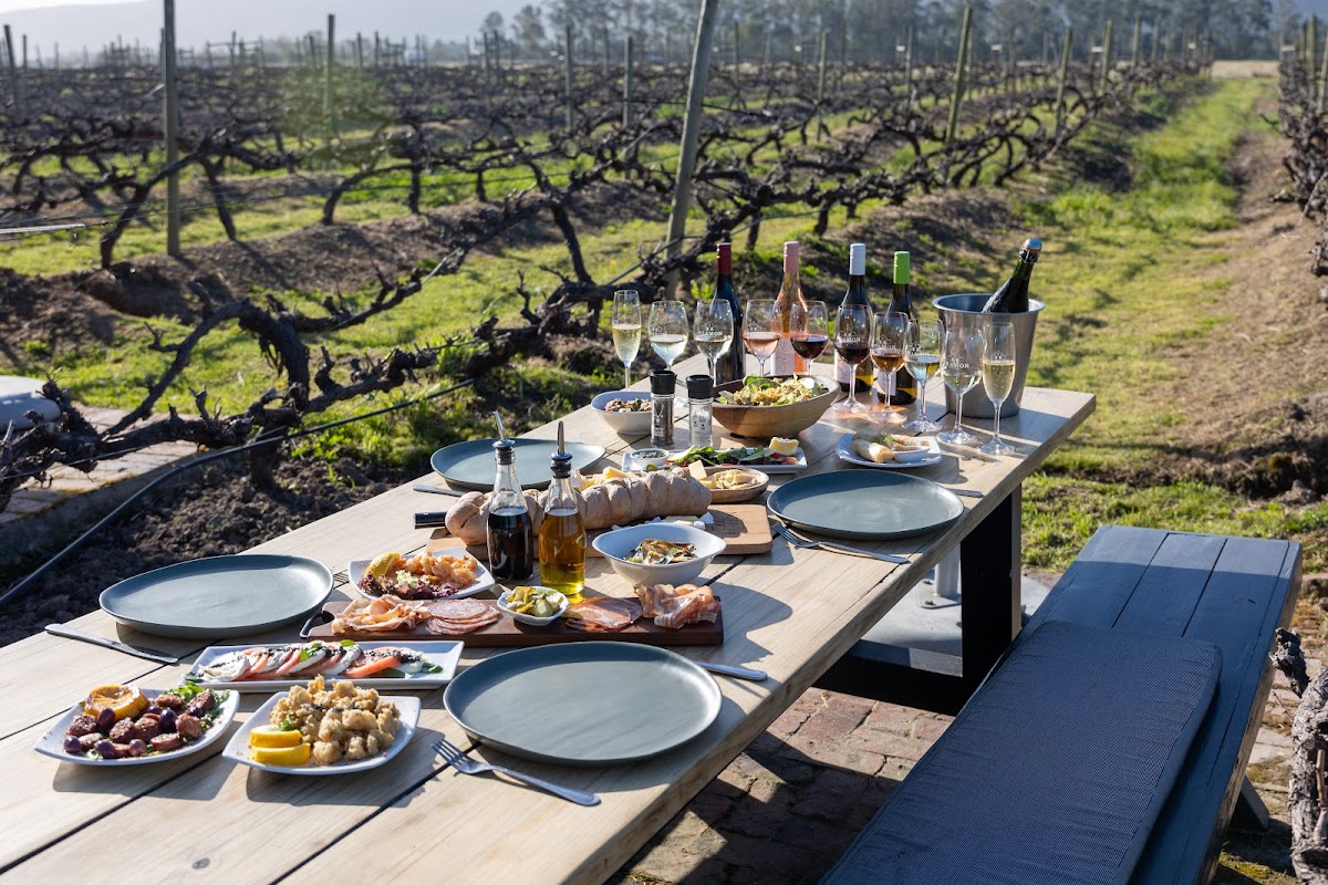 Bramon Wine Estate restaurant in Plettenberg Bay, Garden Route