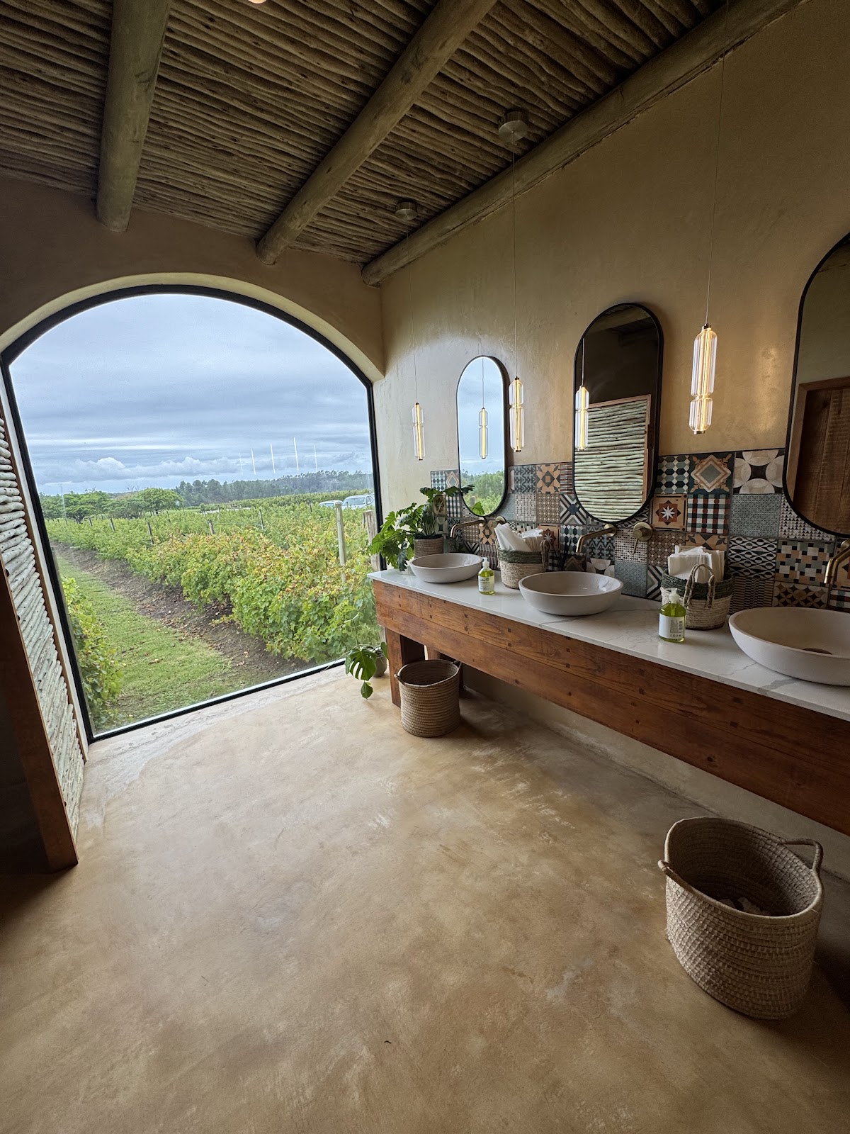 Bramon Wine Estate — photo 3