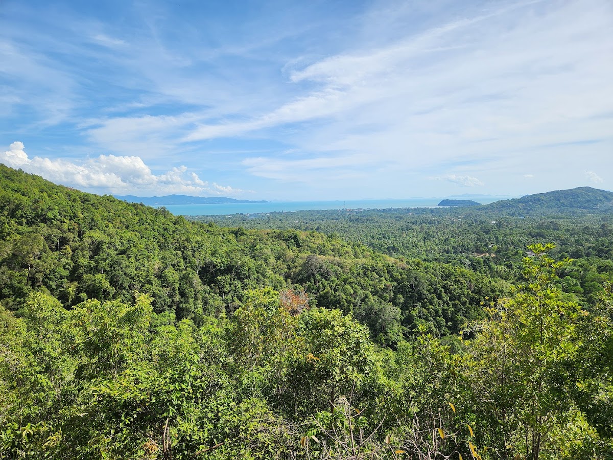 Domesila Viewpoint