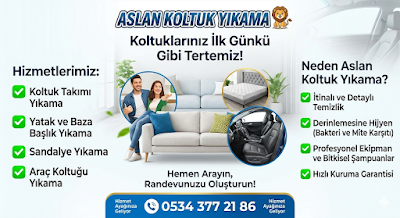 Aslan Koltuk yıkama - Temizlik