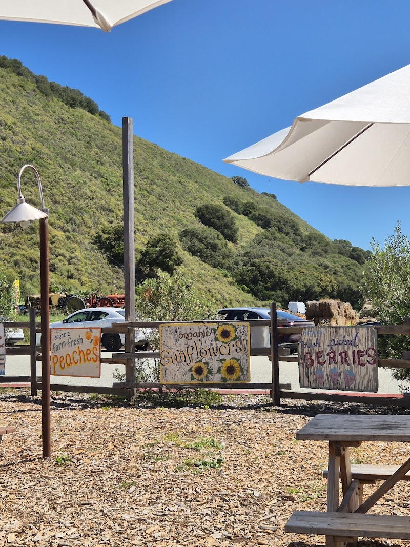 Earthbound Farm Stand photo 2