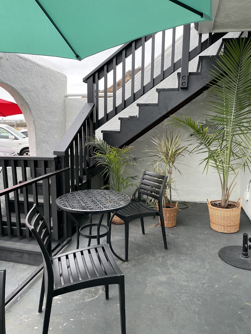 Venus Pie Trap photo 1