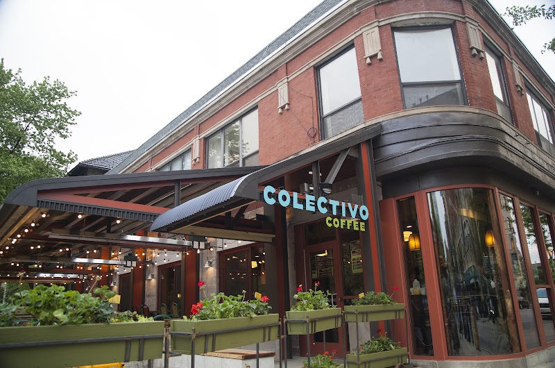 Colectivo Coffee Lincoln Park photo 1