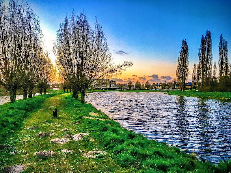 Wijkpark Molenvliet