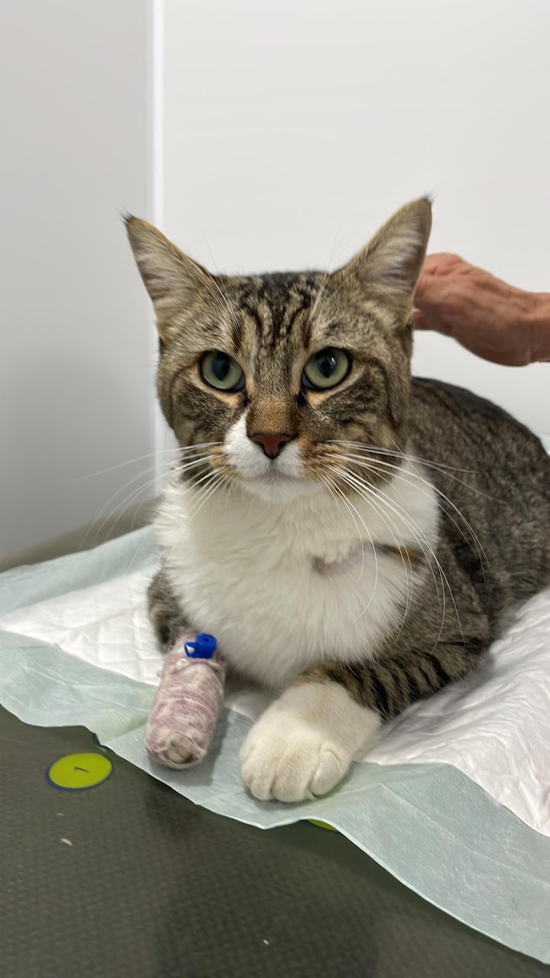 Centro Veterinario Nayra O´Shanahan