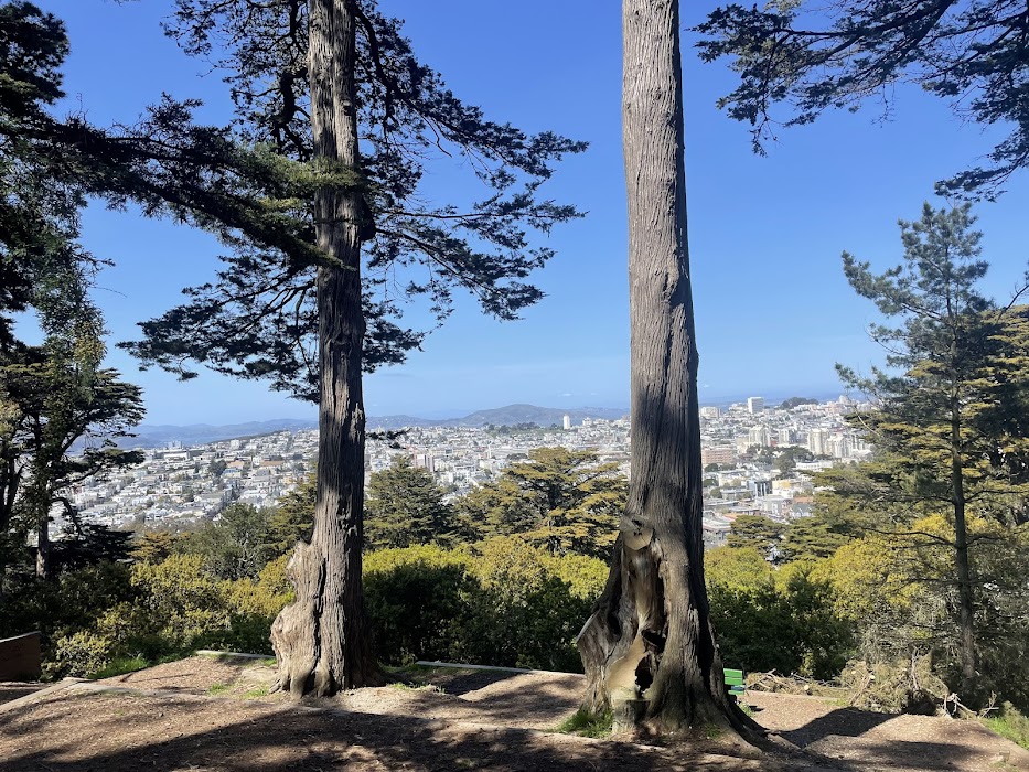 Buena Vista Park fotoğraf 1