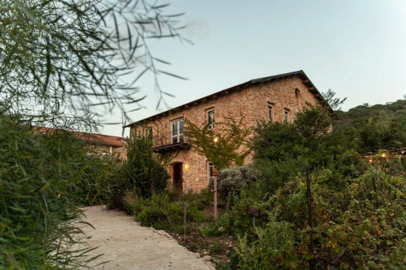 Amphorae Winery