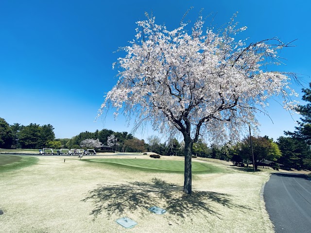 Kodama Golf Club - Photo 10