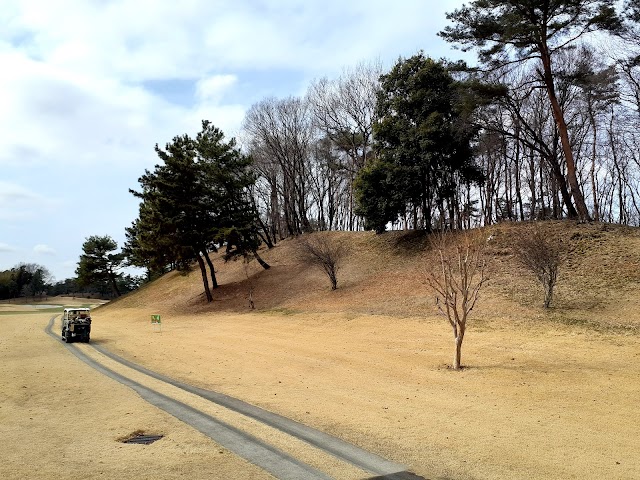 Kodama Golf Club - Photo 2