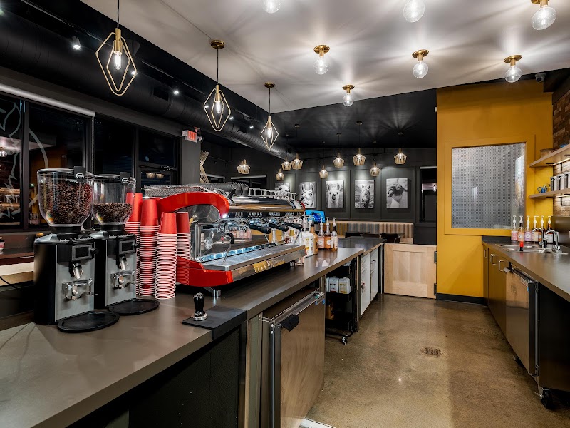 Crazy Llama Coffee photo 1