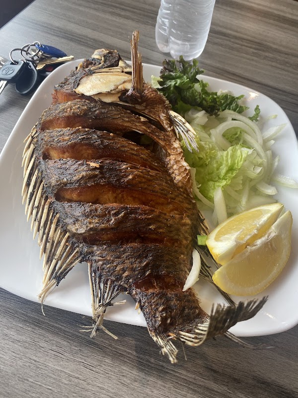 Photo by Ali Salah Salah