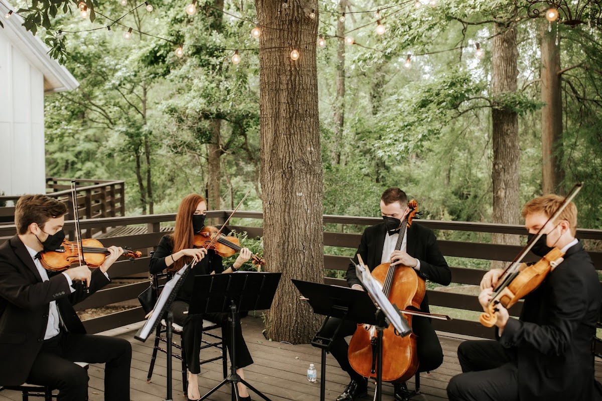 Divisi Strings: Google Places image 4