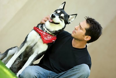 מאלף כלבים-בית הספר לכלבים