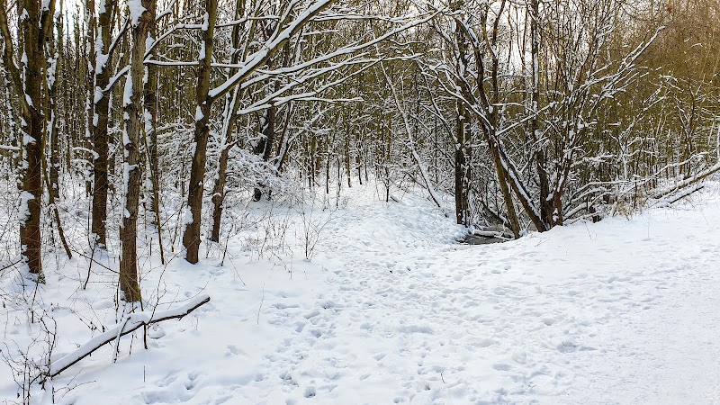 Speelbos de Balij