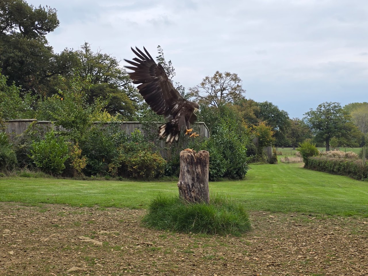 Cotswold Falconry Centre
