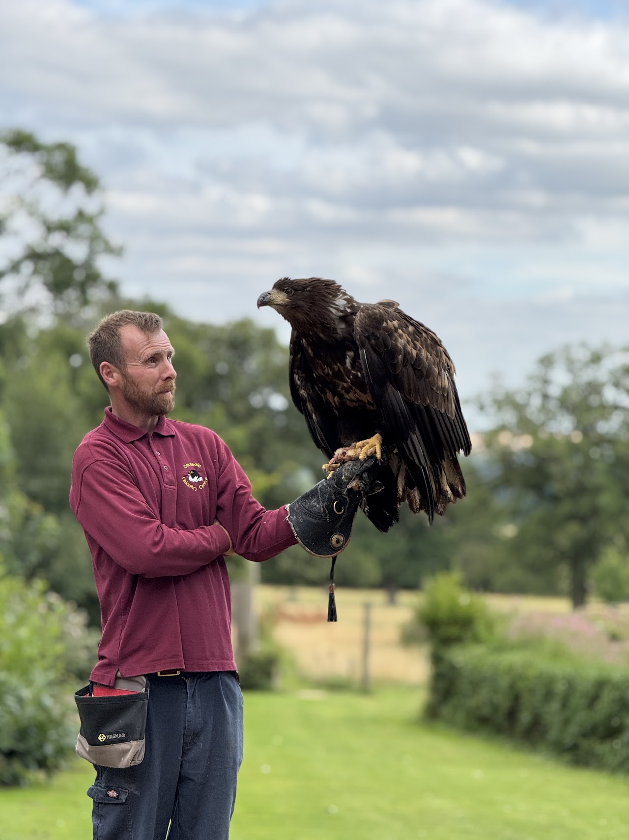 Cotswold Falconry Centre