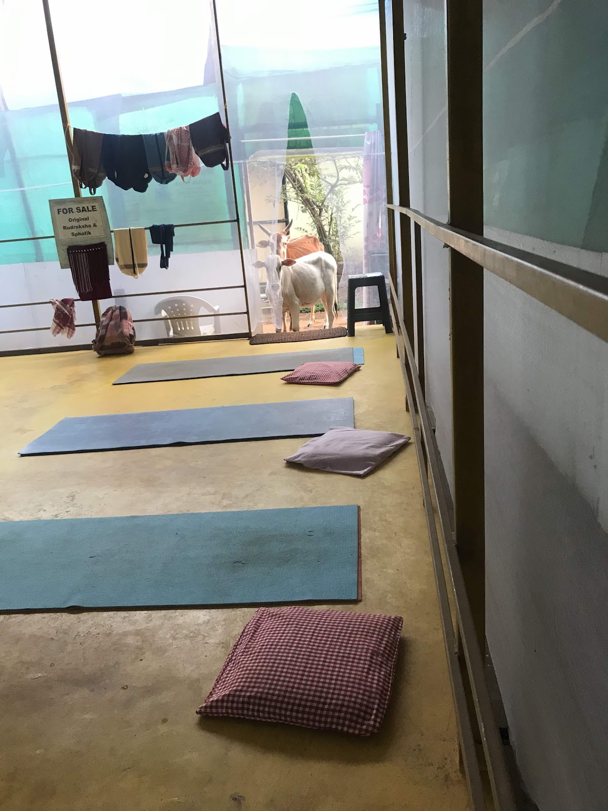 Shiva yoga centre — 4