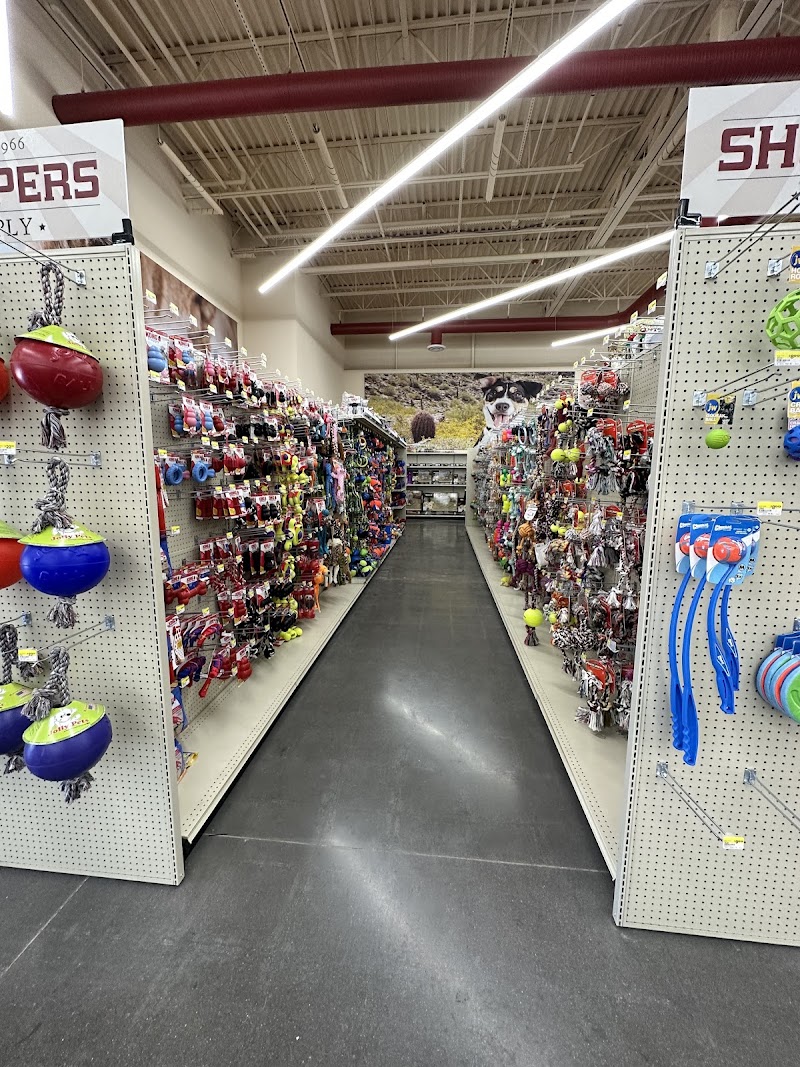 Shoppers Supply photo