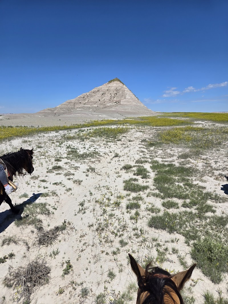 Hurley Butte Ranch - Photo 2