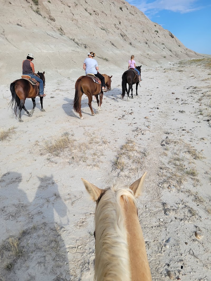 Hurley Butte Ranch - Photo 3