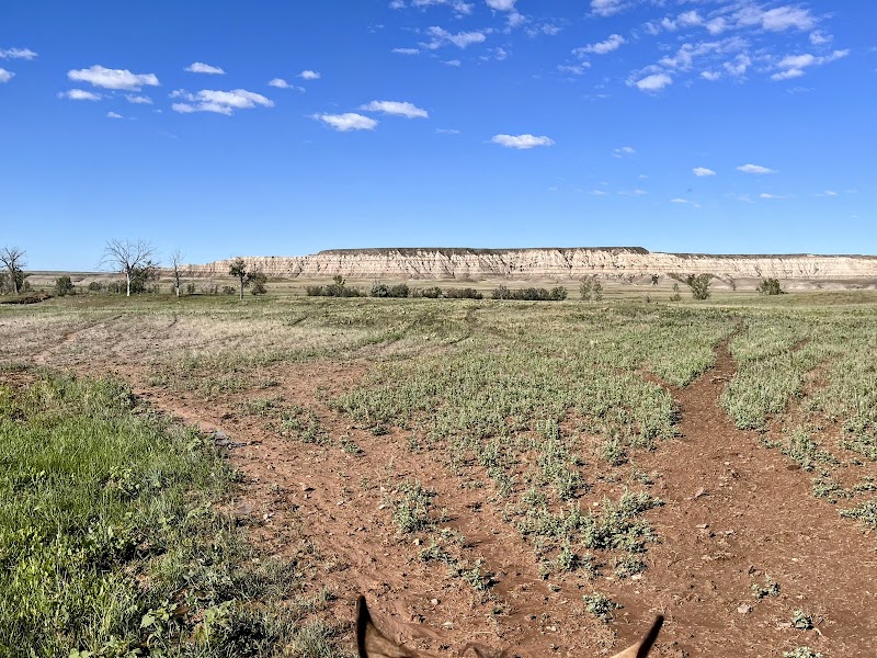 Hurley Butte Ranch - Photo 5