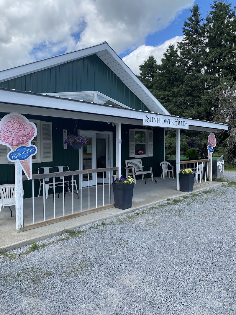 Sunflower Fields Ice Cream Shoppe photo 4