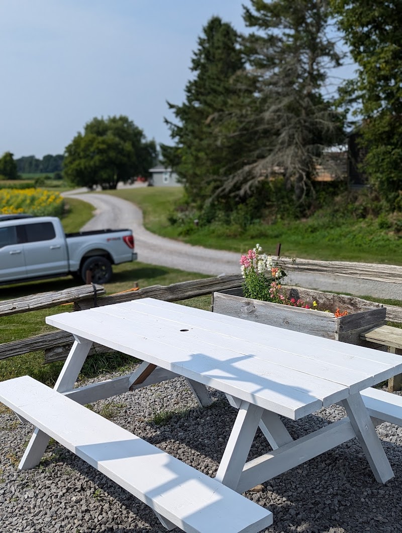 Sunflower Fields Ice Cream Shoppe photo 1