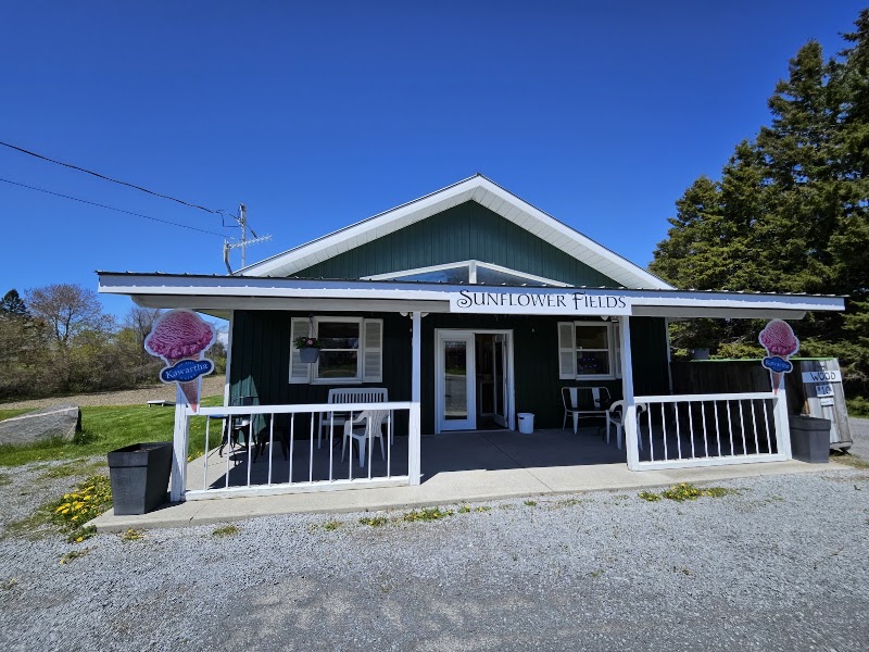 Sunflower Fields Ice Cream Shoppe photo 4