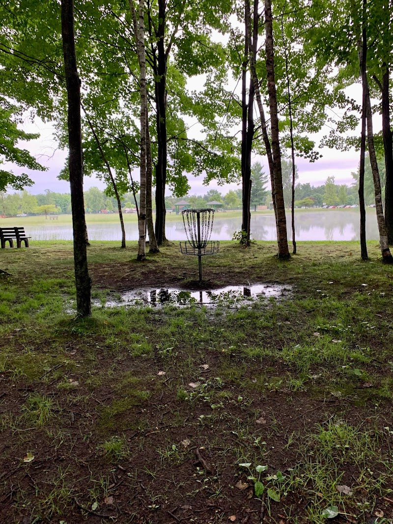 Tittabawassee Park Disc Golf Course photo 5