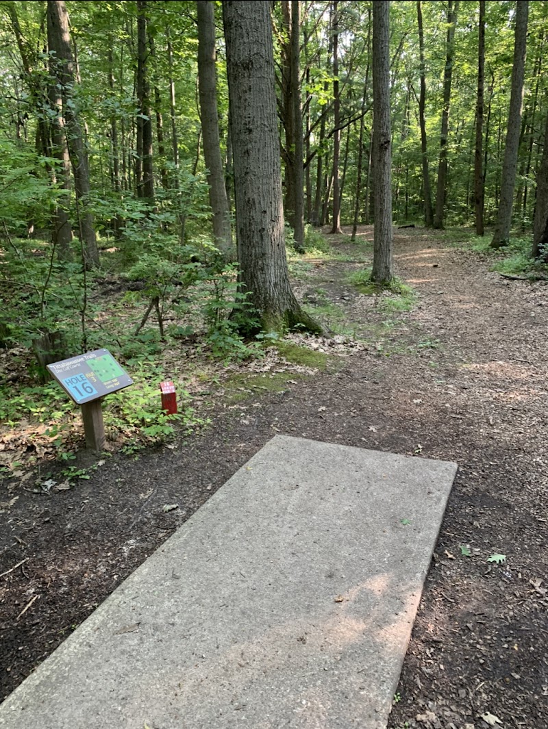 Tittabawassee Park Disc Golf Course photo 3