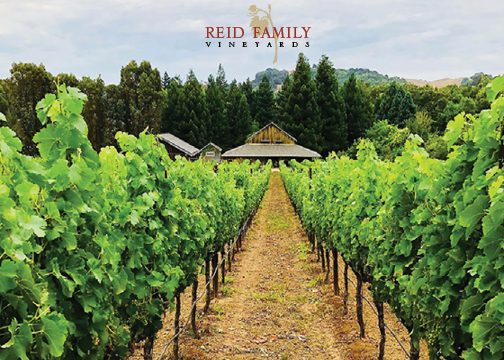 Reid Family Vineyards