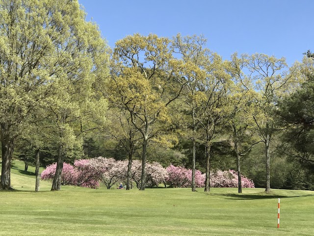 Northern Country Club   Jomo Golf Course - Photo 4