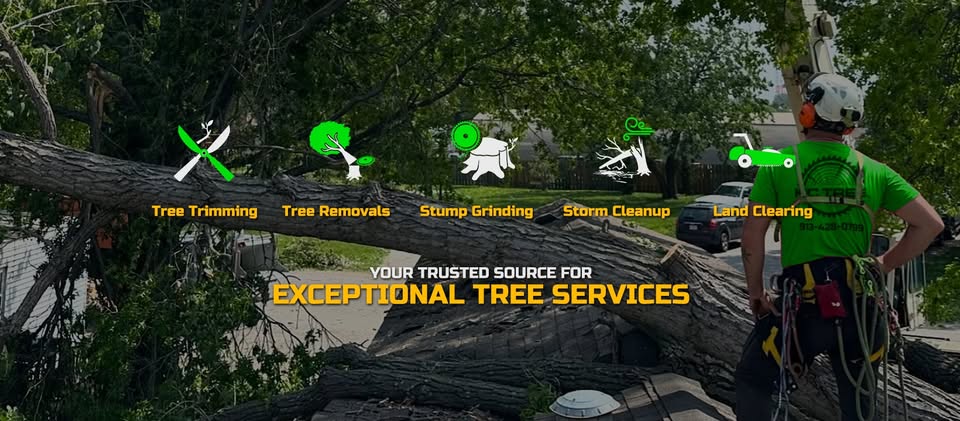 KC Tree Works LLC