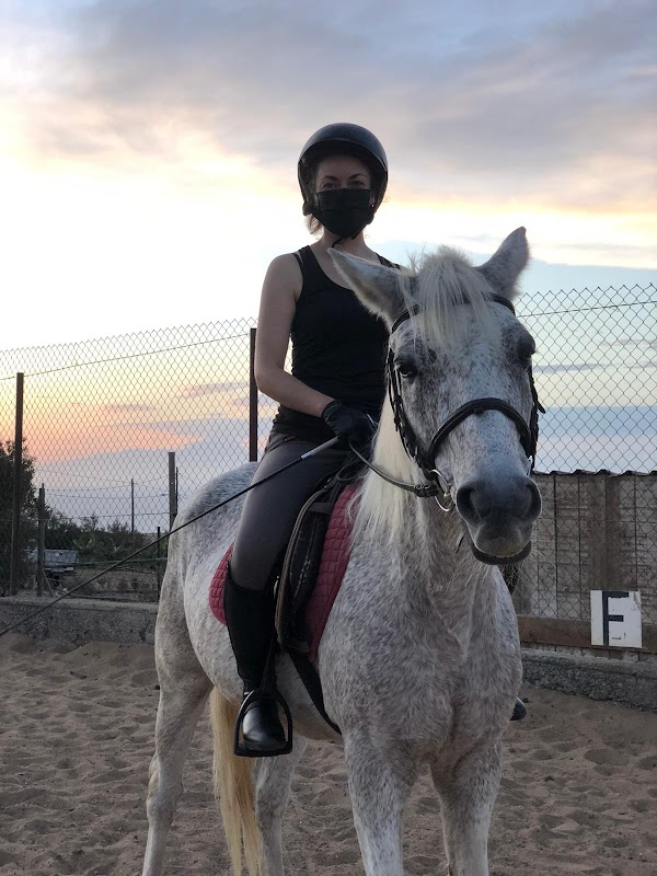 Horseback Riding in Gáldar