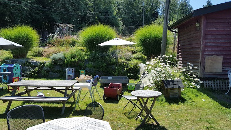 The Ruddy Kitchen & Sunset Café photo 1