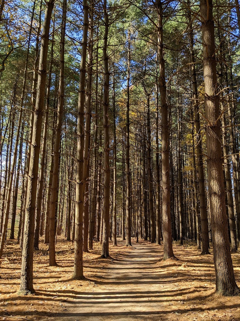 Silver Creek Metro Park photo 1